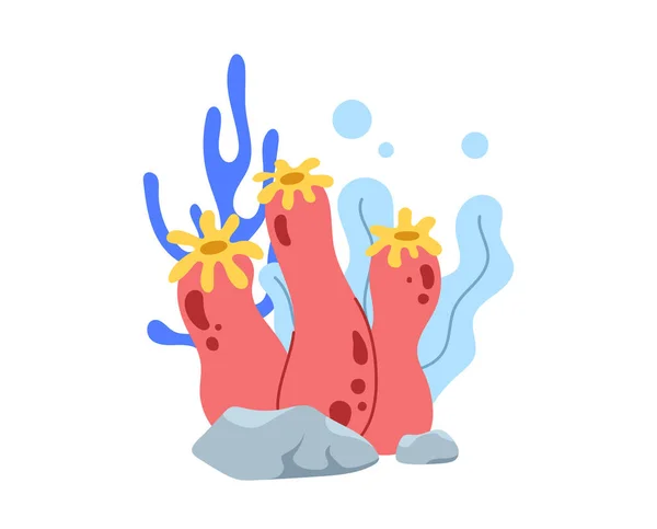 有岩石概念的珊瑚 五彩缤纷的植物 水下和海洋生物 红色和蓝色的花 布局和模型 在白色背景上孤立的卡通平面矢量图解 — 图库矢量图片