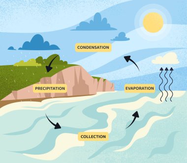 Su döngüsü konsepti. Bilgi ve eğitim materyalleri. Biyoloji ve coğrafya, iklim değişiklikleri. Yoğunlaşma, yağış ve buharlaşma. Çizgi film düz vektör çizimi