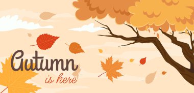 Sonbahar dönemi şablon posteri. Portakal yapraklı ve düşen yapraklı ağaç. Sonbahar sezonu sahnesi. Rüzgarlı ve soğuk hava. Web sitesi için grafik ögesi. Çizgi film düz vektör çizimi