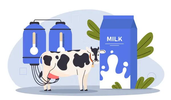 Корова Молочній Фермі Виробництво Молока Велика Рогата Худоба Біля Упаковки Ліцензійні Стокові Ілюстрації