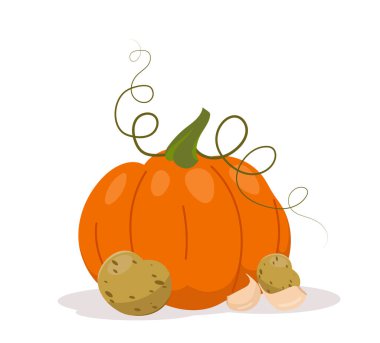 Meyve sebze seti. Balkabağı ve patates. Vitaminli doğal ve organik ürünler. Sağlıklı beslenme. Poster ya da afiş. Düz vektör koleksiyonu beyaz arkaplanda izole edildi