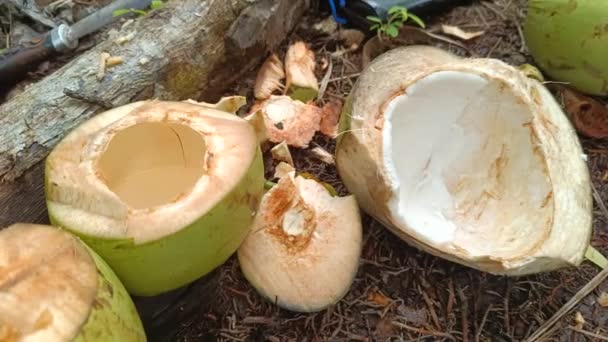 Zwei Teile Gespaltene Kokosnüsse Enthalten Reines Kokoswasser — Stockvideo
