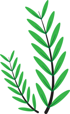 Tüm tasarım ihtiyaçlarınız için basit palmiye yaprağı