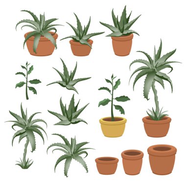 Aloe Vera beyaz bir arka planda izole bir tencerede. El yapımı ev bitkileri. Seramik kahverengi terasotta saksılarında kapalı bitkiler. Ev ya da ofis iç dekorasyonu. 3B Vektör karikatür çizimi