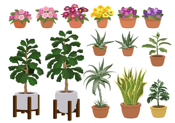 Sada Ručně Kreslených Pokojových Rostlin Různé Domácí Květiny Kryté Rostliny Royalty Free Stock Vektory