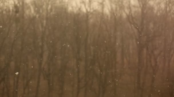 Sněhová Vánice Pohled Okna — Stock video