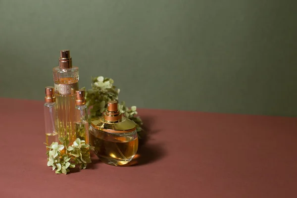 Glass Perfume Bottles Sprigs Hydrangea Beautiful Background — Stock Photo, Image