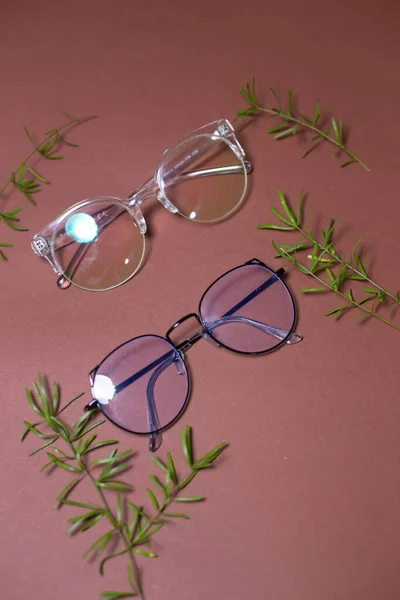 Glasses on a plain background with sprigs of green