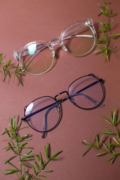 Γυαλιά Ένα Απλό Φόντο Κλαδιά Του Πράσινου — Φωτογραφία Αρχείου