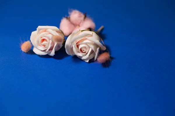 A bouquet of cream roses and sprigs of cotton and rabbit jelly on a blue background