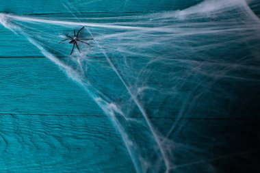 Mavi arka planda Cadılar Bayramı için örümceklerle dekoratif ağ