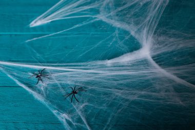 Mavi arka planda Cadılar Bayramı için örümceklerle dekoratif ağ