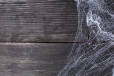 Siyah arkaplanda Cadılar Bayramı için örümceklerle dekoratif ağ