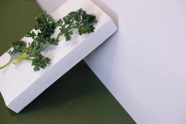 Beyaz-yeşil arka planda bir artemisia filizi