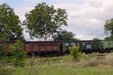 Vagonları olan bir yük treni raylar boyunca ilerliyor.