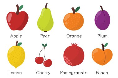 Doodle fruits set in cartoon style. Collection with hand drawn apple, pear, orange, plum, lemon, cherry, pomegranate and peach. Fruits poster with their names. Vector illustration 