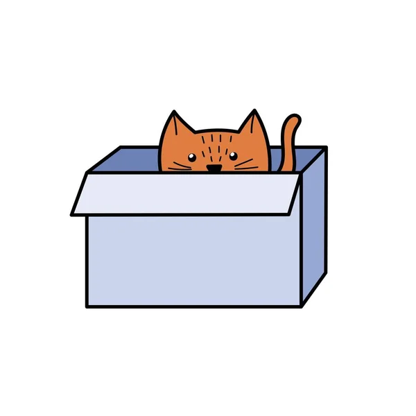 かわいい猫が箱に隠れている 面白い感じの文字は 段ボールの中に座っている ベクターイラスト — ストックベクタ