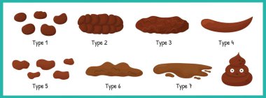 Bristol stool set with different types of poo. Human feces collection from constipation to diarrhea. Vector illustration clipart