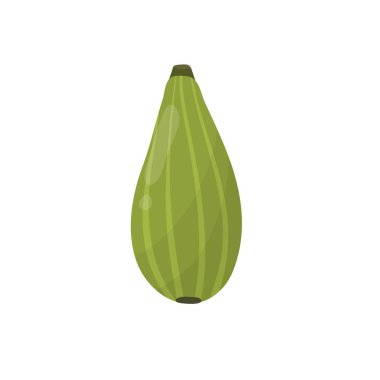 Yaz inciri izole elementi. Çiftlik pazarı menüsü ve tarifleri için Breva tropikal meyve baskısı. Vektör illüstrasyonu