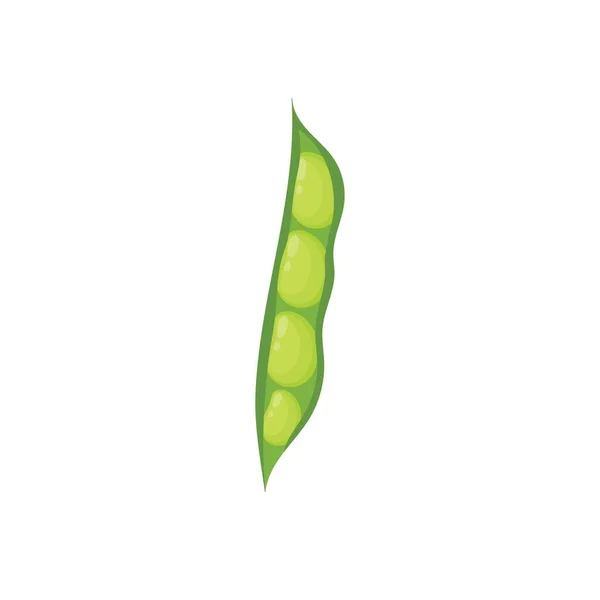Morceau Haricots Verts Élément Isolé Impression Aliments Sains Pour Menu — Image vectorielle