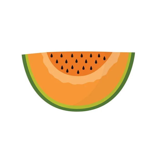 Tranche Melon Cantaloup Élément Isolé Fruits Été Impression Aliments Sains — Image vectorielle