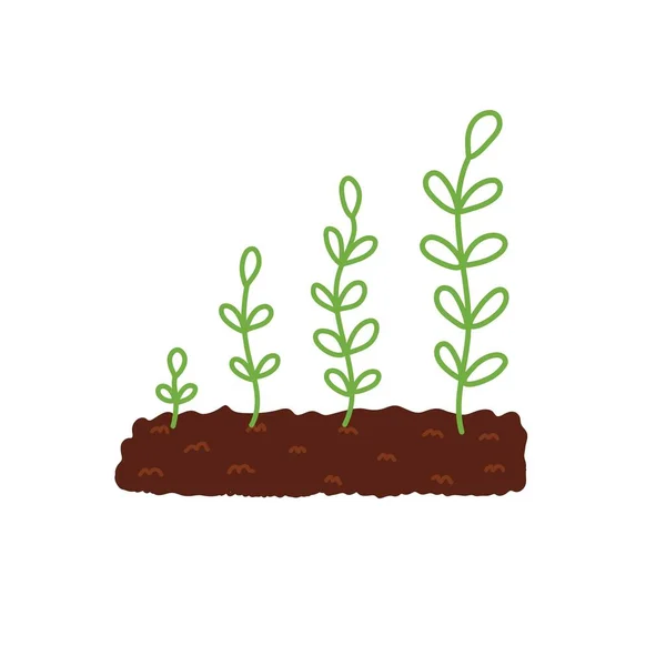 토양에서 식물의 나무와 단계를 그림그리기 일러스트 — 스톡 벡터