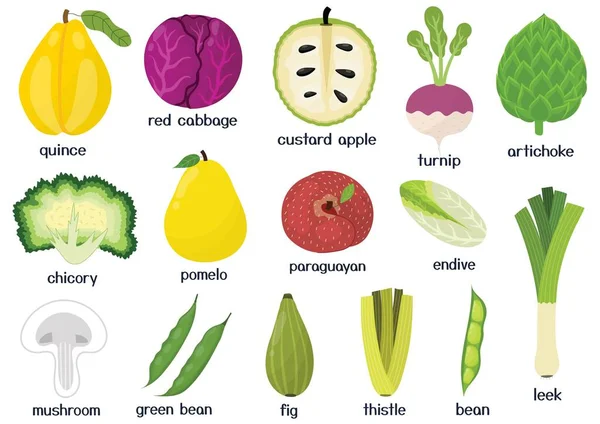 Set Frutas Verduras Colección Alimentos Saludables Elementos Aislados Estilo Dibujos — Vector de stock
