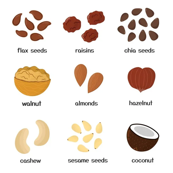 stock vector Nuts and seeds collection. Set of healthy food isolated elements in cartoon style. Great for recipes, cookbook and vegan prints. Vector illustration