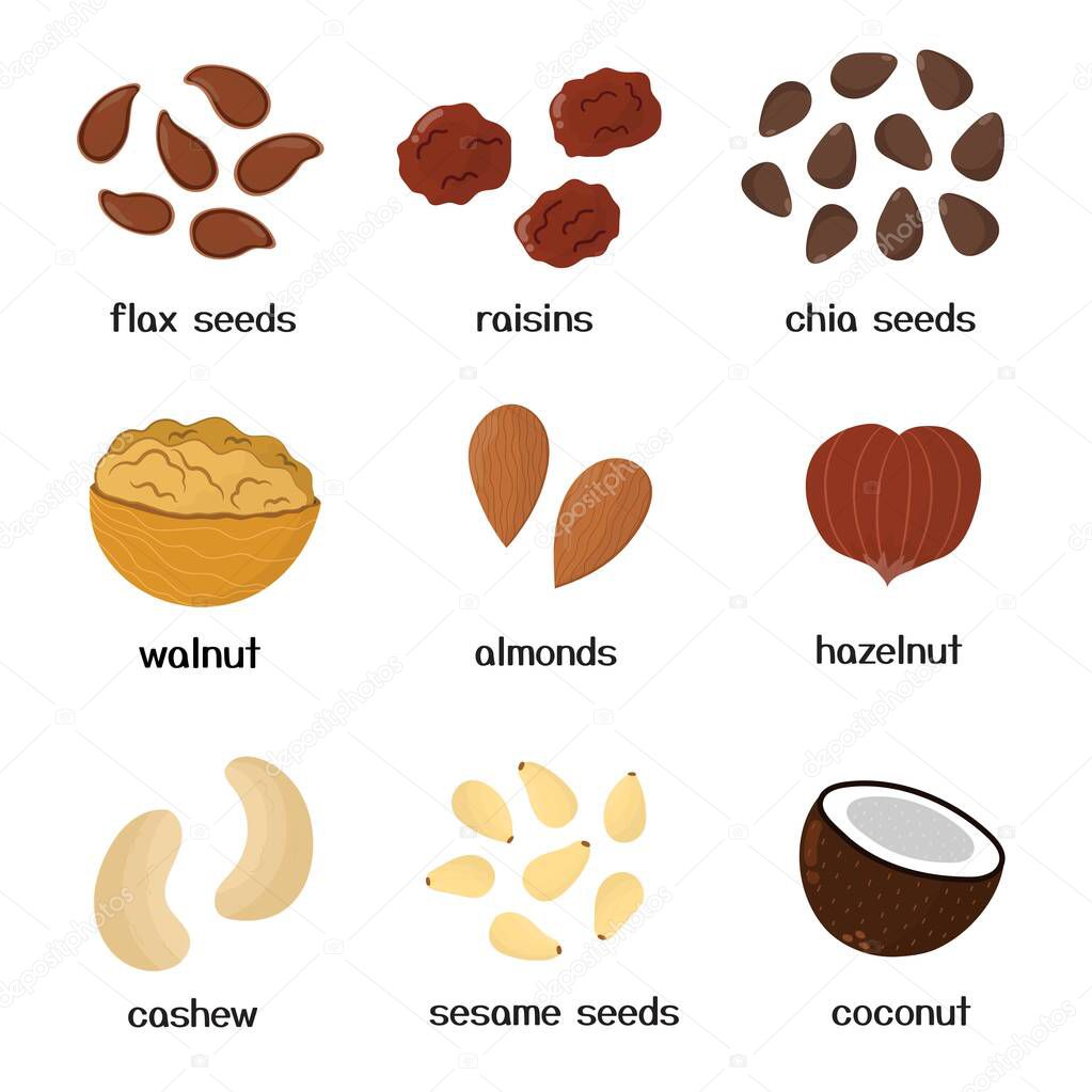 Nuts and seeds collection. Set of healthy food isolated elements in cartoon style. Great for recipes, cookbook and vegan prints. Vector illustration