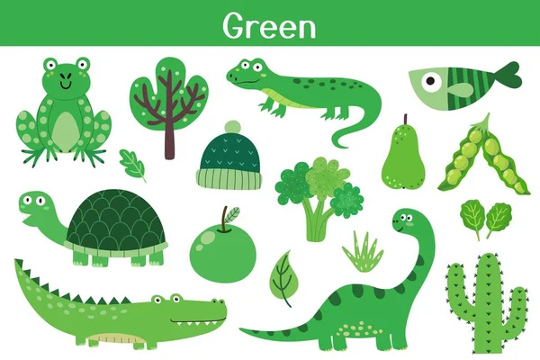 Zielony Kolor Obiektów Zestaw Uczę Się Kolorów Dla Dzieci Ładna — Wektor stockowy