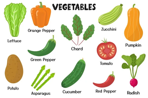 Colección Verduras Comida Saludable Elementos Aislados Estilo Dibujos Animados Ideal — Vector de stock