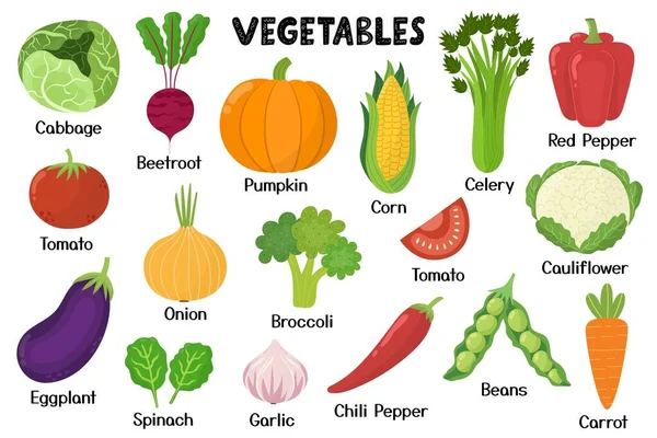 Colección Verduras Comida Saludable Elementos Aislados Estilo Dibujos Animados Ideal — Vector de stock