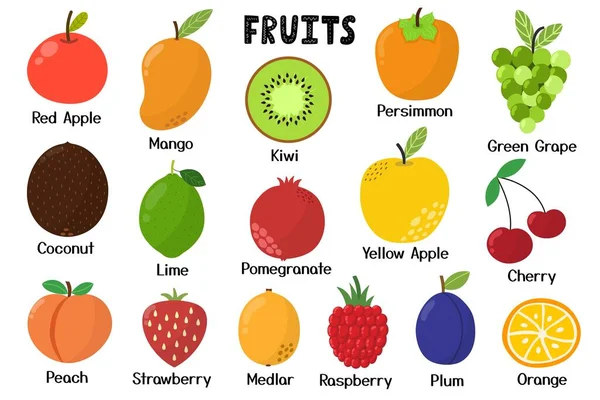 Fruktsamling Friska Livsmedel Isolerade Element Tecknad Stil Perfekt För Recept — Stock vektor