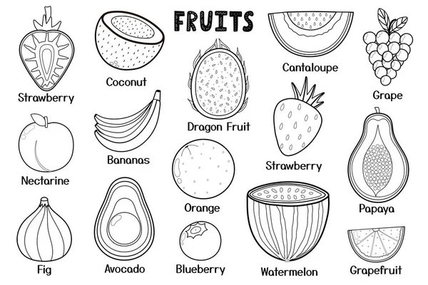 Sammlung Schwarzer Und Weißer Früchte Gesunde Ernährung Isoliert Elemente Ideal — Stockvektor
