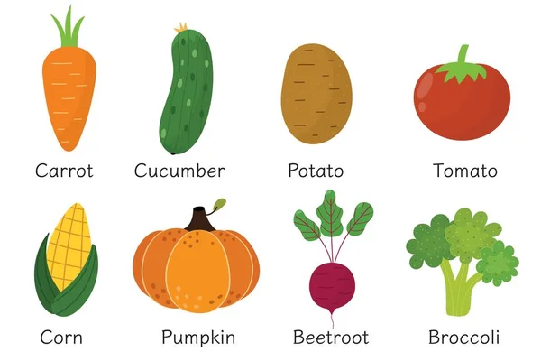 Коллекция Овощей Мультяшном Стиле Набор Здоровой Пищи Плакат Овощами Именами — стоковый вектор