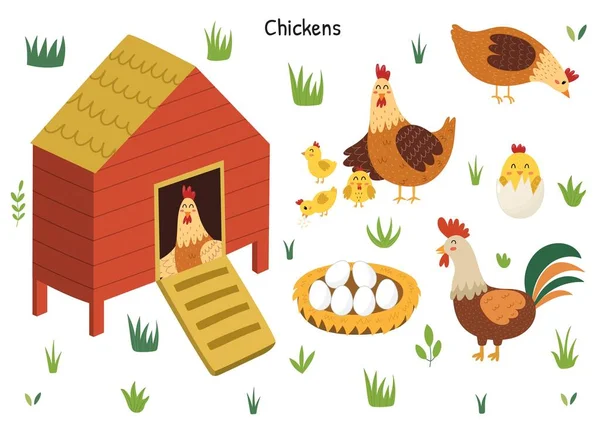 Zestaw Kurczaków Uroczą Kurą Kogutem Pisklętami Jajkami Kurnik Ptakiem Środku — Wektor stockowy
