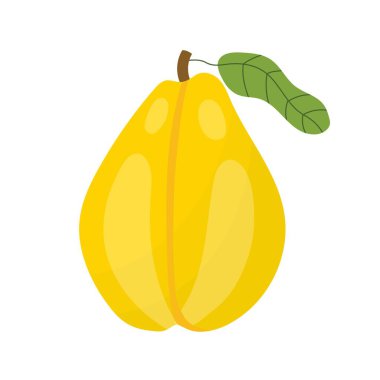 Bütün meyveyi çizgi film tarzında ayır. Beyaz arka planda izole edilmiş taze sarı armut elementi. Organik sağlıklı yiyecek klipsi. Vektör illüstrasyonu