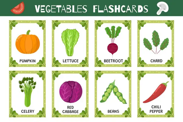Conjunto Flashcards Vegetais Coleção Cartões Flash Para Praticar Habilidades Leitura Ilustrações De Stock Royalty-Free