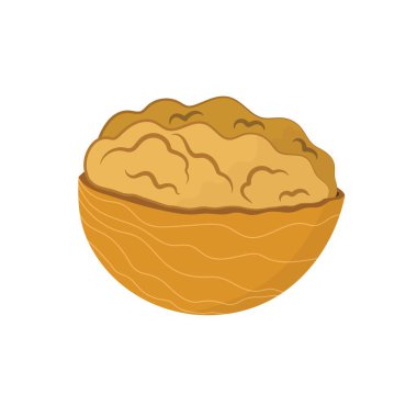 Çizgi film tarzında ceviz, beyaz arkaplanda izole edilmiş. Soyulmuş fındık parçasının yarısı. Kurutulmuş meyve izi. Vektör illüstrasyonu