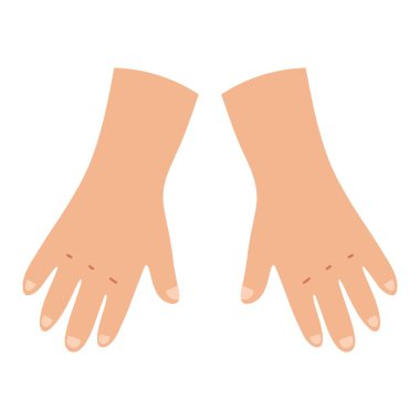 Karikatür tarzında vücut parçaları. Kollar. Sağ ve sol eller önde. Çocuklar için vücut parçaları öğreniyorum. Vektör illüstrasyonu