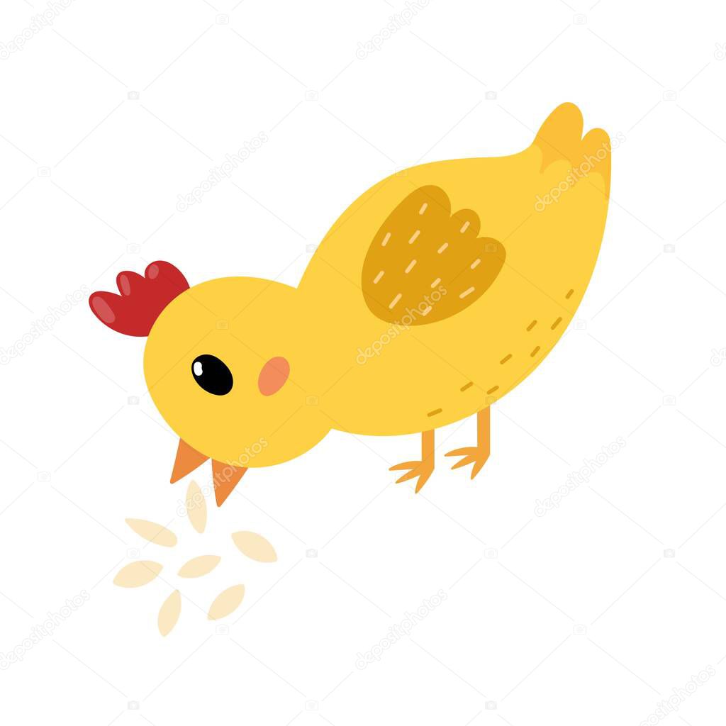 Cute little chick pecking grain in cartoon style. Funny yellow bird eating seeds for baby and kids design. Vector illustration