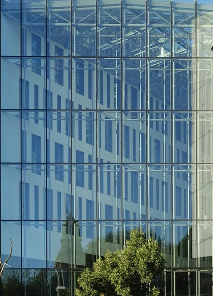Textura Fachada Cristal Rascacielos Oficina — Foto de Stock