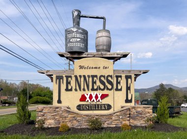 Sevierville, TN, ABD - 13 Nisan 2024: Tennessee Shine Co., yüksek alkol içeriği, tatları ve çeşitli tatları ile ülkenin önde gelen kaçak içki imalathanelerinden biridir..