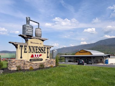 Sevierville, TN, ABD - 13 Nisan 2024: Tennessee Shine Co., yüksek alkol içeriği, tatları ve çeşitli tatları ile ülkenin önde gelen kaçak içki imalathanelerinden biridir..