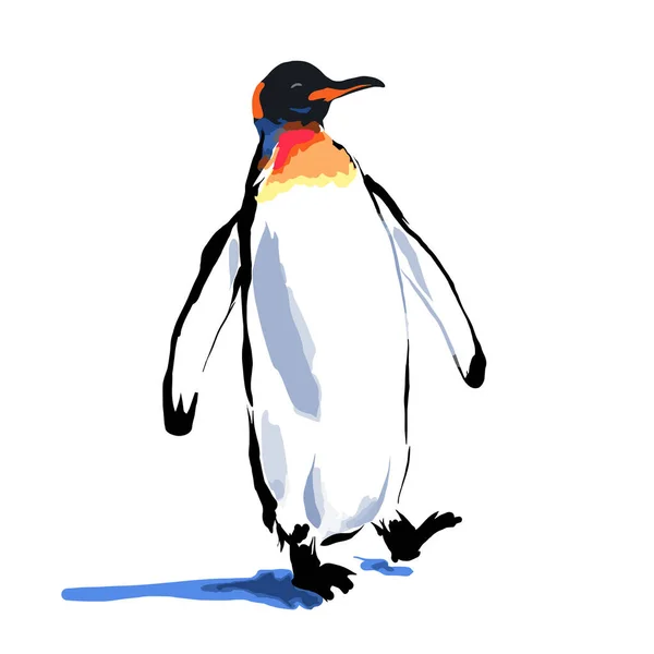 ペンギン帝のイラスト ペンギンの中で最も背が高く重い種 白を背景にした南極ベクトルイラスト — ストックベクタ