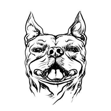 Boxer Dog. Hand drawn vector illustration on transparent background. Sketch