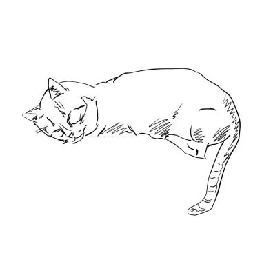 Sakin ve rahat bir duruşta tasvir edilmiş stilize edilmiş bir kedi tasviri içeren minimalist bir çizgi.