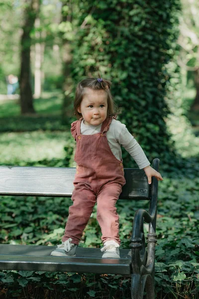 一个穿着天鹅绒衬里的女幼儿躺在花园的长椅上 一个带着小马尾辫的女婴在公园里玩得很开心 图库照片