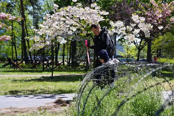 Kyiv Ukraine May 2023 Father Child Steps Barbed Wire Fence — Stock Photo, Image