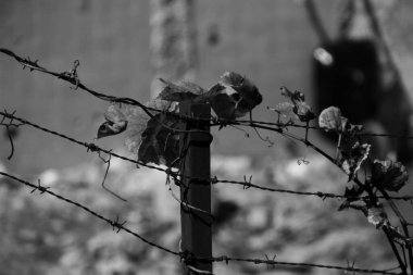 Fotografias de paisagens, cidades, objetos ve aspectos inusitados e ecuosos do cotidiano. Manzara, şehir, nesneler ve günlük yaşamın alışılmadık ve ilginç yönlerinin fotoğrafları.